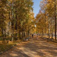 Прогулка по  осеннему городу. :: Анатолий Грачев