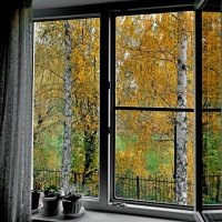 Осень за окном :: Mikhail Irtyshskiy