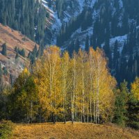 Осень в горах :: Сергей Мурзин