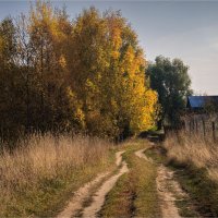 Осень в Юраково :: Владимир Макаров