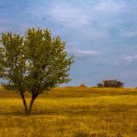 /// :: Евгений Леоненко