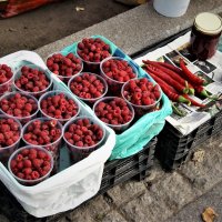 STREET STILL LIFE :: Виктор Никитенко