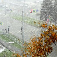 Первый снег . 8 октября. :: Мила Бовкун