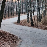 Осень в парке :: Дмитрий Балашов