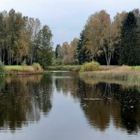 Павловский парк. Долина прудов :: Наталья Герасимова