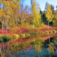 Золотая осень на Ламском пруду... :: Sergey Gordoff