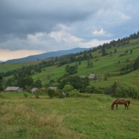 В Карпатах. :: Юрий Гординский