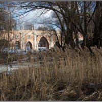 Москва. Царицыно. :: Михаил Розенберг