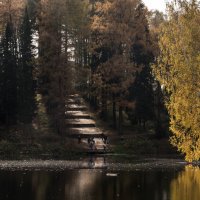 Лестница в осень. :: Владимир Безбородов