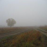 Прогулки в тумане :: Anna Ivanova
