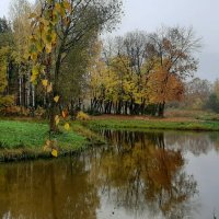 Дождливое утро :: Елена Павлова (Смолова)