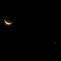 Луна с Венерой :: Alisa Koteva 