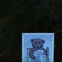 Плакат у входа в лес :: Ольга 