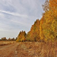 Дорогой в осень. :: Восковых Анна Васильевна 