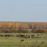 Околица :: Надежда 