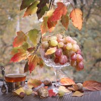 Виноградная осень :: Irene Irene