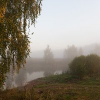Туман. :: Владимир Безбородов