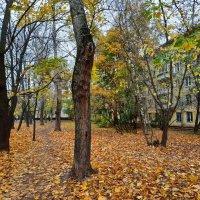 Осень в Москве :: Андрей Лукьянов
