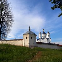 Южная башня Свенского монастыря в июне :: Евгений 