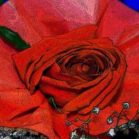 Красный цветок. :: Штрек Надежда 