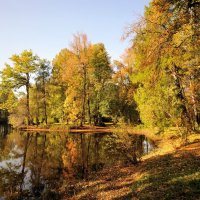 в осеннем парке... :: Андрей Вестмит