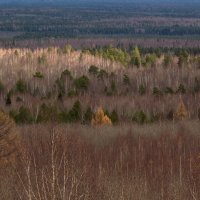 внезапный луч :: Евгений Тарасов 