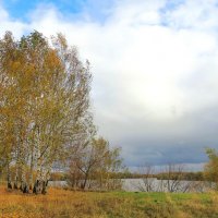 Берёзки на берегу :: Андрей Снегерёв