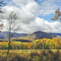 Золотая долина, Приморье :: Эдуард Куклин