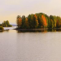 Осень в Карелии :: Николай Гренков