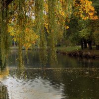 Осень вдохновляет и дарит ощущение прекрасного. ... :: barsuk lesnoi