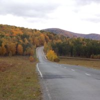 Дорога в осень :: Любовь Иванова
