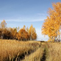 осень :: Владимир Холодницкий