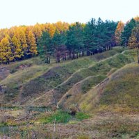 Осень в центральной полосе. :: Борис Митрохин