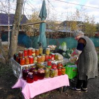 придорожная торговля для москвичей... :: Галина Флора