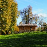 Домик в деревне. :: Милешкин Владимир Алексеевич 