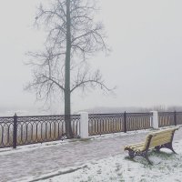 Туманное утро :: Татьяна 