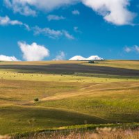 По дороге на Бермамыт,вид на Эльбрус :: Наталия Л.