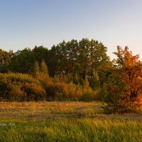 Осенний свет :: Александр Синдерёв