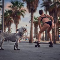 Скейтборд и собака :: Maxim Polak