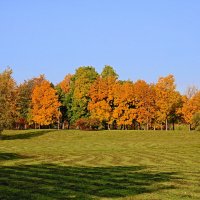 Художник по имени Осень :: Евгений 