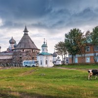 Коровы у монастыря :: Юлия Батурина