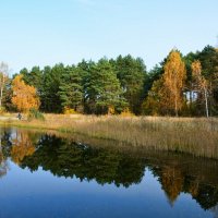 Моя  Смоленщина (из поездок по области). :: Милешкин Владимир Алексеевич 