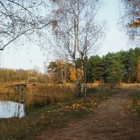 Моя Смоленщина. :: Милешкин Владимир Алексеевич 