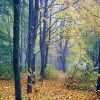 в осеннем парке :: юрий иванов 