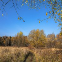 В поле... :: Владимир Жданов