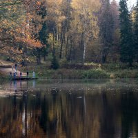 *** :: Владимир Безбородов