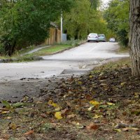 В период созревания грецкие орехи падают с дерева на тротуар и на дорогу... :: Татьяна Смоляниченко