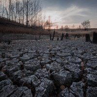 Без воды :: Илья Сигунов