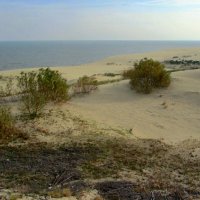 Дюны,море,песок :: Сергей Карачин