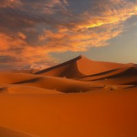 Одинокий путник...Пустыня Сахара.Марокко! :: Александр Вивчарик